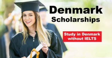 How To Secure Fully Funded Scholarships To Study in Denmark As An International Student