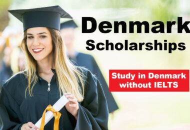 How To Secure Fully Funded Scholarships To Study in Denmark As An International Student